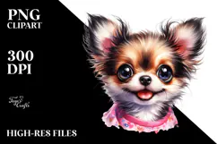 Cute Baby Chihuahua with Crazy Furr Product Image 2