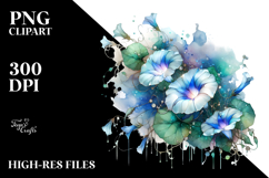 Morning Glory, PNG Product Image 2