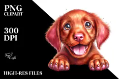 Happy Baby Vizsla PNG Product Image 2