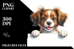 Cute Brittany Looking Clipart Product Image 1