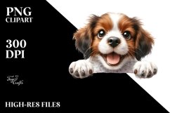 Cute Brittany Looking Clipart Product Image 3