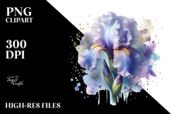 Iris Watercolor, PNG Product Image 2