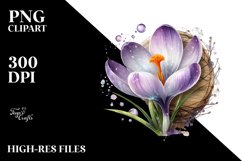 Shiny Crocus Metallic Wood | Sublimation | Clipart Product Image 1