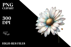 Daisy PNG Product Image 2