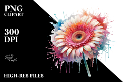 y Gerbera Watercolor PNG Product Image 2