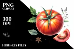 Watercolor Tomato Vegetable Red Sticker Clipart Product Image 1