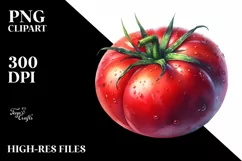 Watercolor Tomato Vegetable Red Sticker Clipart Product Image 3