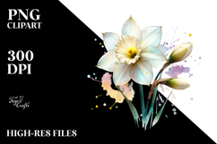 y Daffodil Watercolor PNG Product Image 2
