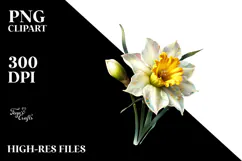 y Daffodil Watercolor PNG Product Image 2