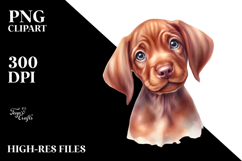 Baby Vizsla, PNG Product Image 2