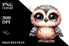 Big-Eyed Owl Clipart Product Image 2