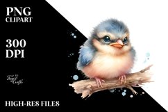 Baby Bird, Sublimation Clipart Product Image 3