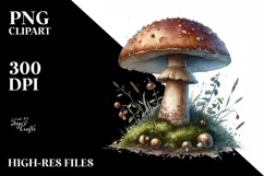 Detailed Mushroom Watercolor Splash PNG Product Image 1