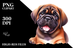 Baby Mastiff, PNG Product Image 2