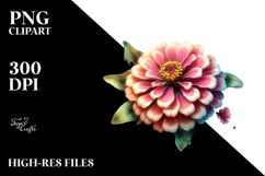 Zinnia Splash PNG Product Image 2