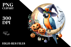 Parrot Dressed for Halloween PNG Product Image 2
