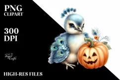 Baby Peacock with Pumpkin, PNG Product Image 3