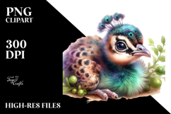 Baby Peacock with Big Eyes PNG Product Image 2