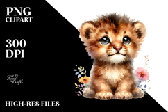 Baby Lion PNG Product Image 2