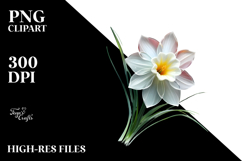 Daffodil with Watercolor Splash, Transparent PNG Product Image 2