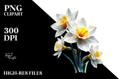 Daffodil, Watercolor PNG Product Image 2