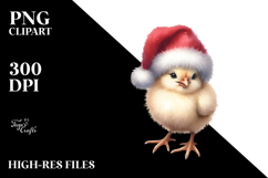 Baby Chicken with Santa Hat Product Image 2