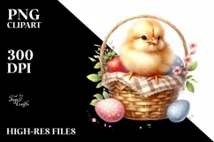 Cute Baby Chicken, High-Res PNG Product Image 3