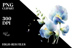 Sweet Pea with Watercolor Splash PNG Product Image 2