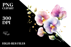 Colorful Sweet Pea PNG Product Image 2