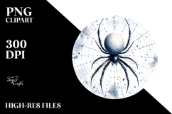 Creepy Spider Transparent PNG Product Image 2