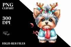 Yorkshire Terrier in Winter, High-Res PNG Product Image 1