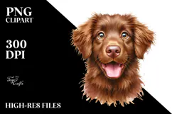Cute Chesapeake Bay Retriever Watercolor PNG Product Image 2