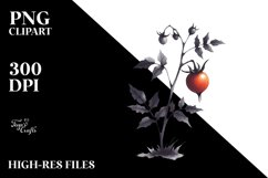 Sublimation|Clipart Product Image 1