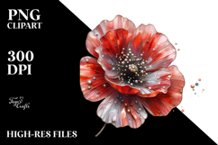 Poppy PNG Product Image 2