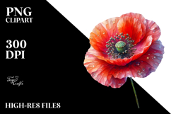 Poppy PNG Product Image 2