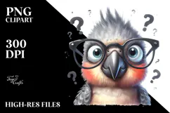 Confused Baby Parrot | Portrait Clipart Product Image 2
