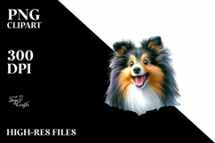 Crazy Shetland Sheepdog Wall | Sublimation | Clipart Product Image 1