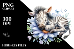 Whimsical Baby Zebra Sleeping on Flower PNG Product Image 2