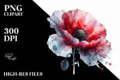 Colorful Poppy, Watercolor Splash |Clipart Product Image 3