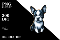 Boston Terrier on Beach | Cute Ball Sunset Product Image 2