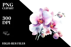 Vibrant Orchid Watercolor PNG Product Image 2