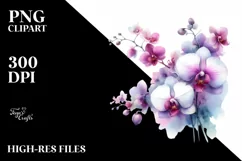 Vibrant Orchid Watercolor PNG Product Image 3