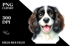 Cute English Springer Spaniel, High-Res PNG Product Image 2