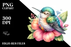 Cute Baby Hummingbird Flower Clipart Product Image 1