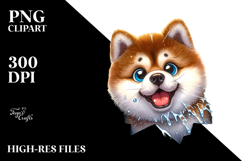 Crazy Akita Ice Forest | Sublimation | Clipart. Product Image 2