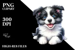 Cute Baby Border Collie, High-Quality PNG Product Image 2