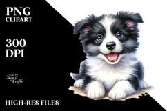 Happy Baby Border Collie PNG Product Image 2