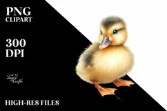Baby Duck in Winter Clothes PNG Product Image 3