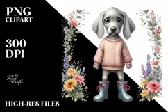 Confused Weimaraner with Big Eyes in Rain Boots | Clipart Product Image 3