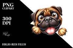 Crazy Bullmastiff with Popping Eyes | Sublimation | Clipart Product Image 3